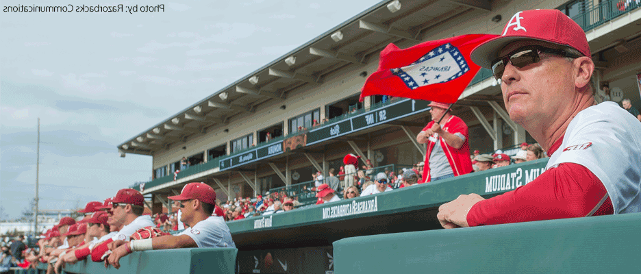 Razorback Baseball